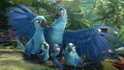 [100+] Rio 2 Wallpapers | Wallpapers.com
