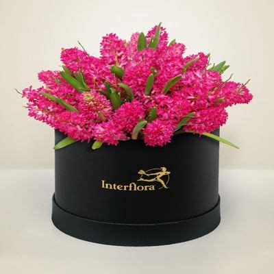 Purity essence: Order Flowers Online | Interflora India | ID1357028