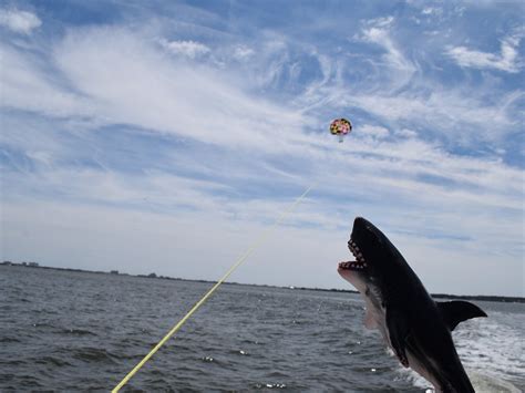 ISLAND PARASAIL (2026) All You Need to Know BEFORE You Go (with Photos ...