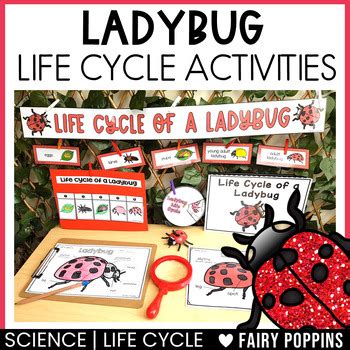 Image result for Ladybug Science