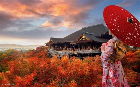 [Small Group Tour for 4-9 People] Kyoto & Nara Day Trip | Kiyomizu-dera ...