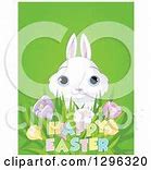 Image result for Blue Bunny Rabbit