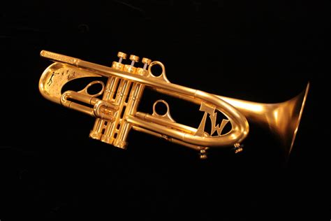The 15 Most Expensive Trumpets In The World Ventured, 45% OFF