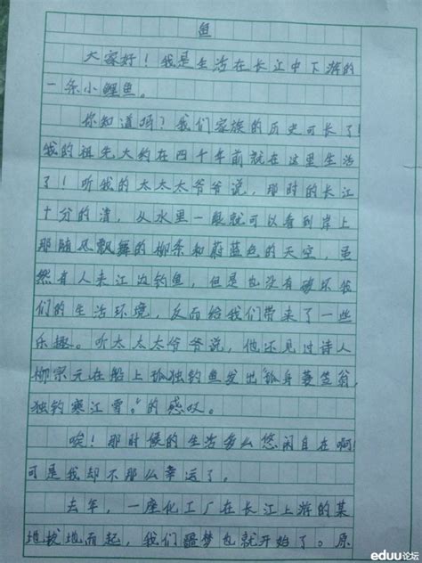 小学生我的发现作文-小学生作文我的发现120字