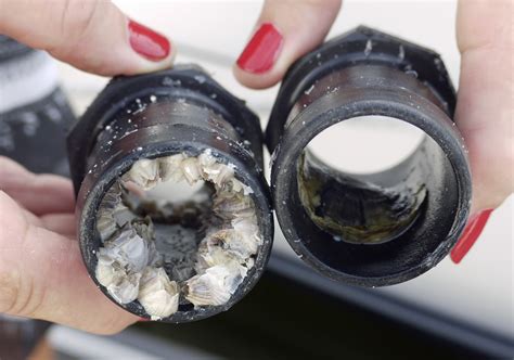 Image result for Blockate Water Tutorial