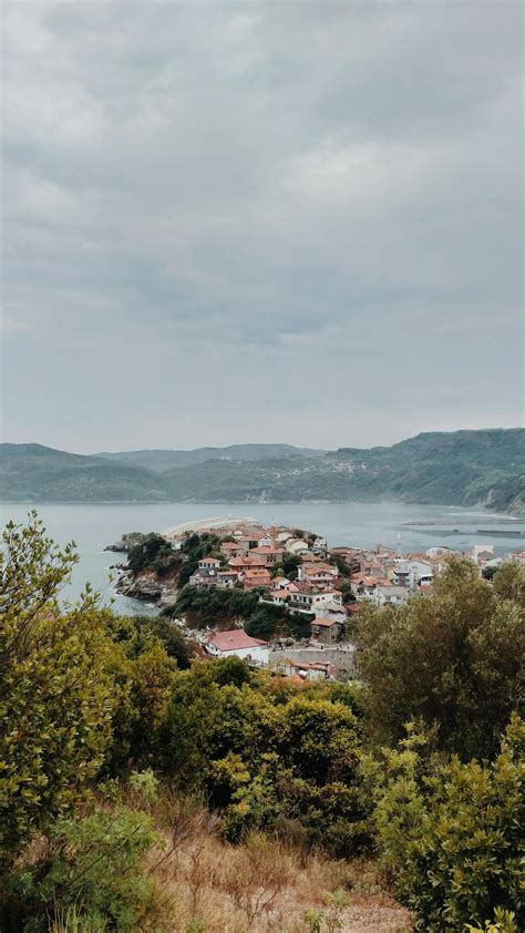 Panoramic View Camera 的图像结果