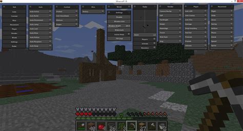 Image result for Reach Hack Client