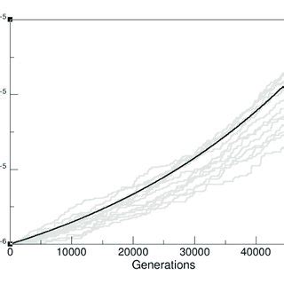 Moran Process 的图像结果