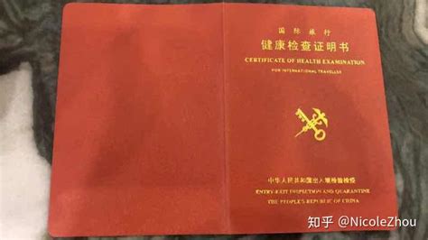 台湾留学(正規・交換留学）で渡航前に準備すべきこと①居留査証/居留ビザ申請のための健康診断｜日中学生交流団体freebird《Pando》