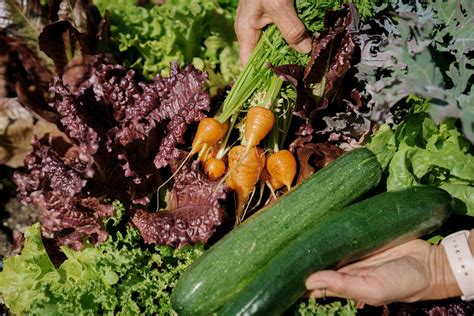 ASU Employee Wellness 2025: Spring into health with seasonal superfoods ...