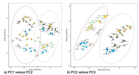 Capsicum Leaves under Stress: Using Multi-Omics Analysis to Detect ...