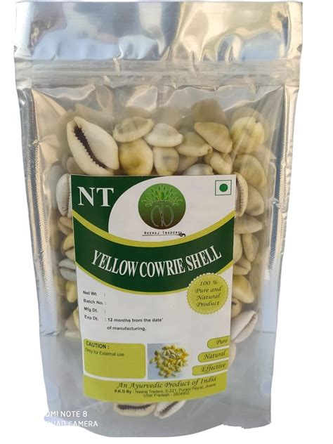 Buy NEERAJ -Yellow Gavvalu peeli kodi yellow cowrie Lakshmi Peeli Kawri ...