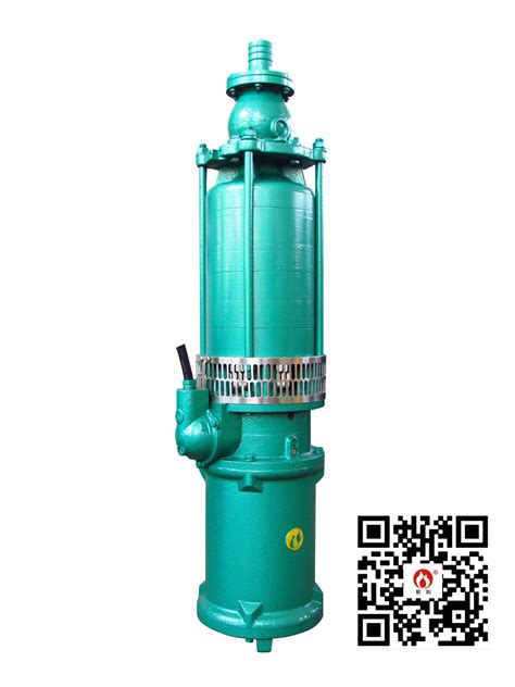 江苏环球QS农用泵井用潜水泵轴混流泵-环球潜水泵-报价、补贴和图片