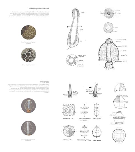 Outspan | CEPT - Portfolio