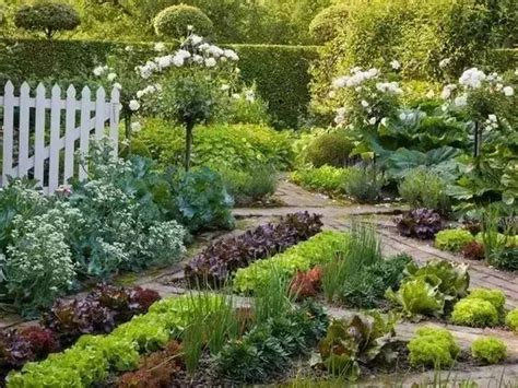 自家小菜园设计效果图,景观菜园,菜园布置_大山谷图库