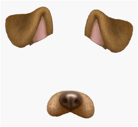 Image result for Snapchat Filters