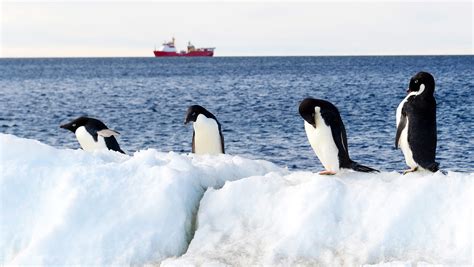Antarctica temperature hit 63.5 degrees, sets new record high temperature