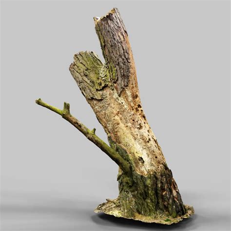 Image result for Stumpy Size