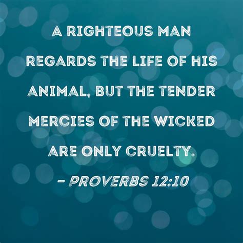 Animal Mercy Quotes Proverbs 12:10 A Righteous Man Regards The Life Of