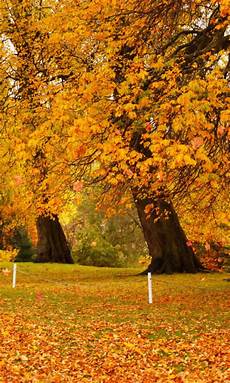 Autumn Wallpapers For Android by Autumn Wallpaper Appstore For Android Autumn Wallpapers For Android