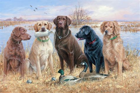 duck hunting dogs | Duck Hunting Desktop Wallpapers with Waterfowl ...
