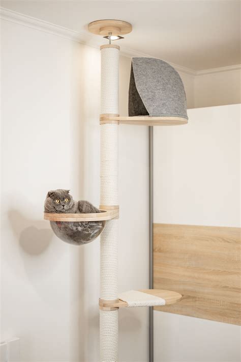 Floor To Ceiling Cat Tree Wood at Emil Bentley blog