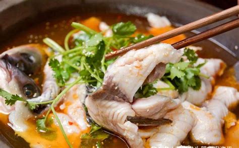 美食中的黑马——石锅鱼，它的营养美味都离不开它！__财经头条