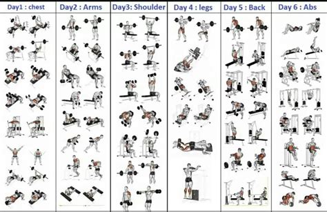 7 day gym workout plan pdf