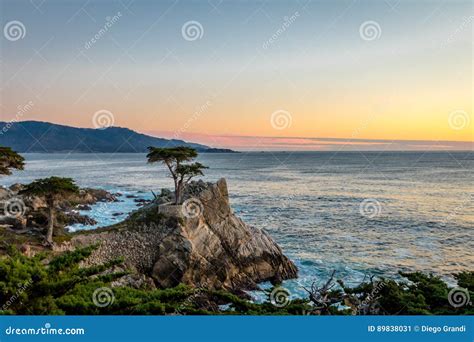 Lone Cypress Tree View at Sunset Along Famous 17 Mile Drive - Monterey ...
