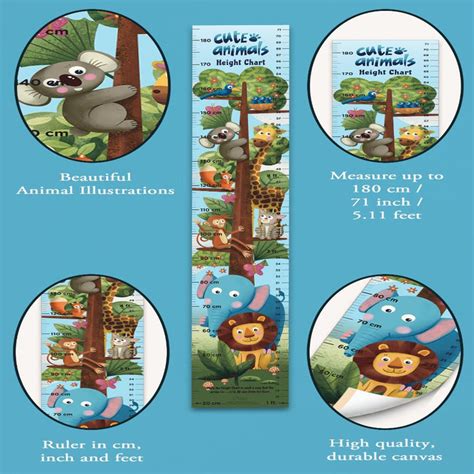 Height charts — Toycra