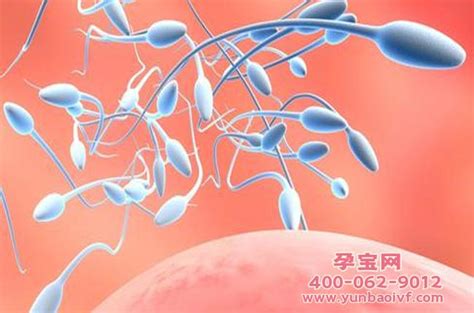 郑州大学第一附属医院试管婴儿成功好孕，分享艾灸调理法_目的地攻略-试管邦