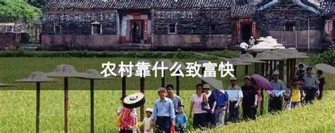 农村靠什么致富快-致富经-中国花木网