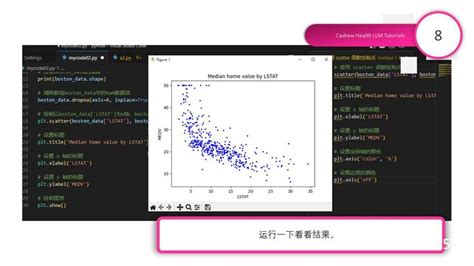 Python Codert 的图像结果