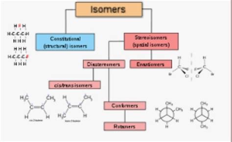 Three types of steroisomers - Brainly.in