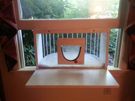 Image result for Best Cat Window Boxes