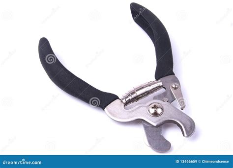Dog nail clippers stock image. Image of dogs, trim, nails - 13466659