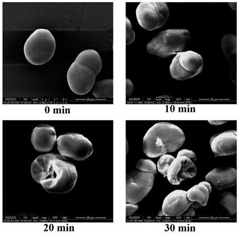Effect of Ultrasonic Treatment on Structure and Physicochemical ...