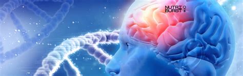 Melatonin Gummies Explained – Your Guide to Serene Sleep – Nutriburstindia