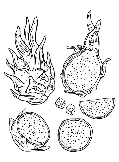 Dragon Fruit For Coloring