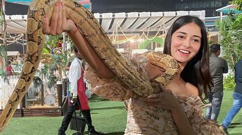 Ananya Panday DELETES Photos With Snakes From Isha Ambani's Kids ...