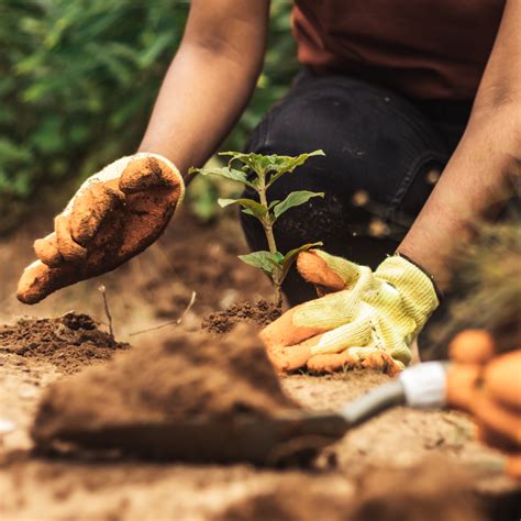 North St. Paul, MN | Official Website