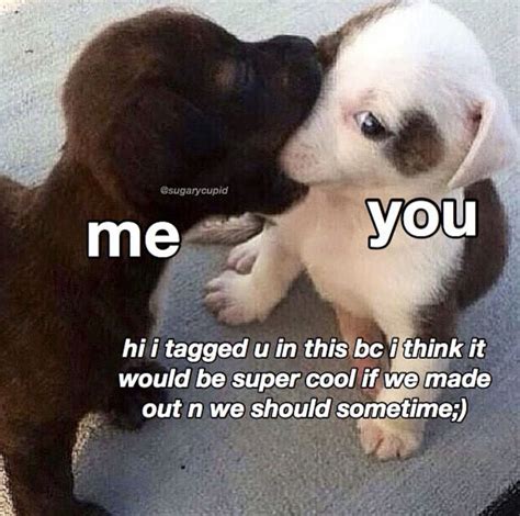 Pin by Jyothsna Chelluboina on Soft memes | Making out, Memes, Super