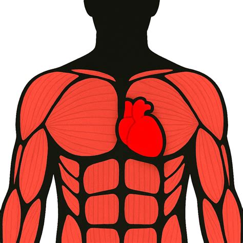 Creatine Kinase Total Test | Ulta Lab Tests