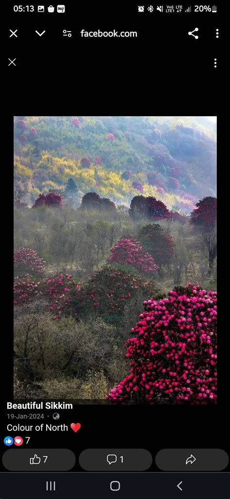 Lali Gurans National Flower of Nepal - Page 6 - Samsung Members