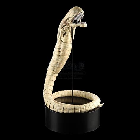 Image result for Alien vs Predator Chestburster