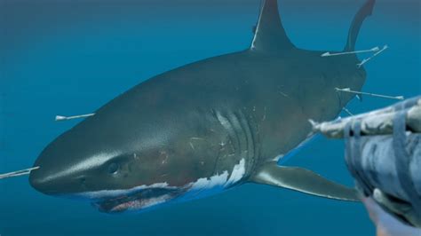 Stranded Deep Megalodon 的图像结果