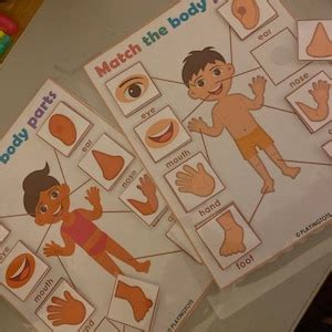 Buy Body Organs Matching Activity Printable for Kids, Human Anatomy ...