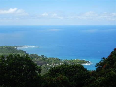 Kona Coffee Farm Hawaii - Monkey King Coffee