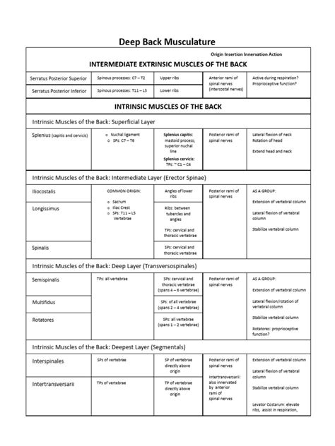 Image result for Back Muscle Chart