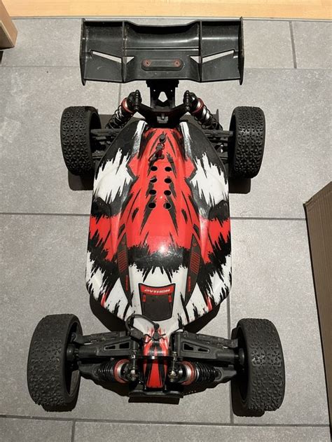 Image result for Corally Python